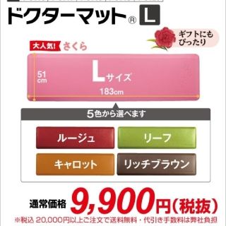 アサヒケイキンゾク(アサヒ軽金属)のアサヒ軽金属 ドクターマットＬサイズ(さくら)(キッチンマット)