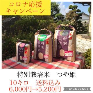 コロナ応援キャンペーン！！光り輝く大粒米✼宮城県産特別栽培つや姫10キロ(米/穀物)