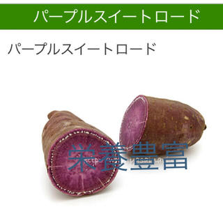 サツマイモ苗ー紫芋15本(野菜)