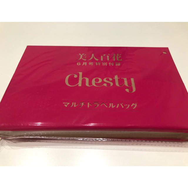 Chesty(チェスティ)の　美人百花6月号♥Chesty♥マルチトラベルバッグ メンズのバッグ(トラベルバッグ/スーツケース)の商品写真