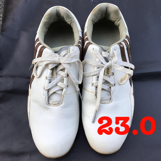 アディダス(adidas)のゴルフ靴　adidas サイズ23.0(シューズ)