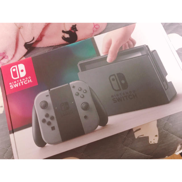 Nintendo Switch グレー