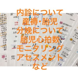 ☆ 助産学生 ☆ 助産 実習セット ポケットサイズの通販 by coco's