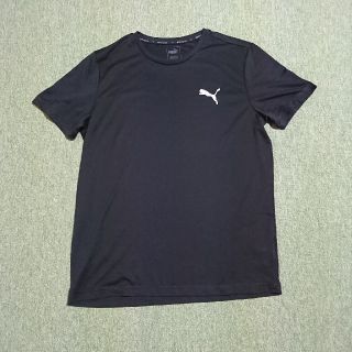 プーマ(PUMA)のプーマ Tシャツ(Tシャツ/カットソー(半袖/袖なし))