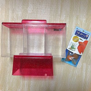 テトラ(Tetra)のテトラ ベタ飼育セット 小型水槽(アクアリウム)