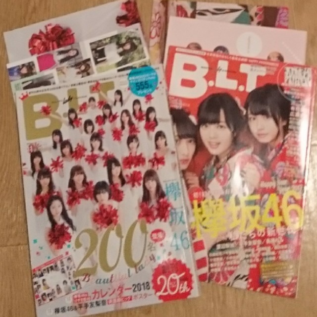 欅坂46(けやき坂46)(ケヤキザカフォーティーシックス)の欅坂46 カレンダー ポスター 2017 & 2018 BLT エンタメ/ホビーのタレントグッズ(アイドルグッズ)の商品写真