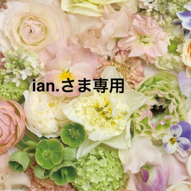 ian.さま専用ページ♡ コスメ/美容のネイル(つけ爪/ネイルチップ)の商品写真