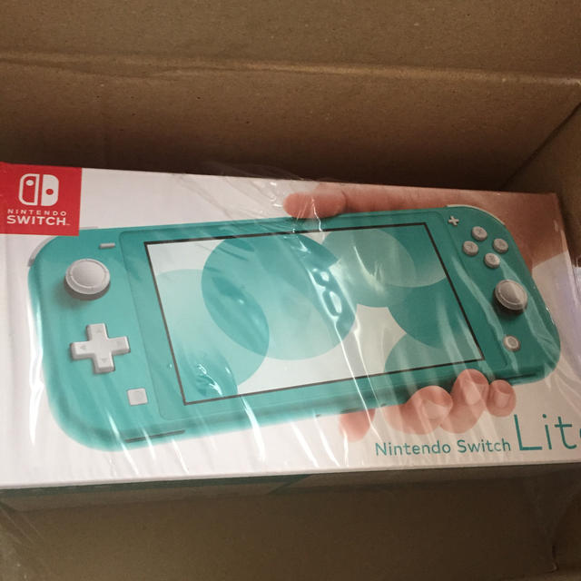 ゲームソフト/ゲーム機本体Switch lite