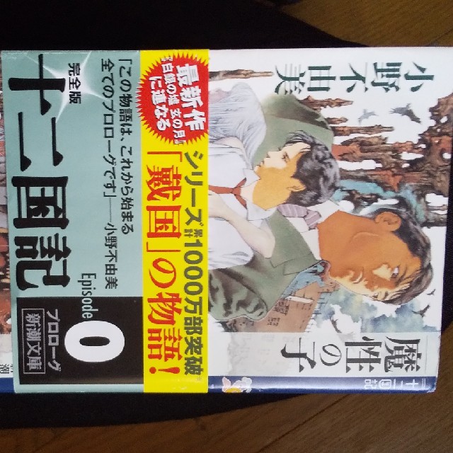 魔性の子 十二国記 エンタメ/ホビーの本(文学/小説)の商品写真