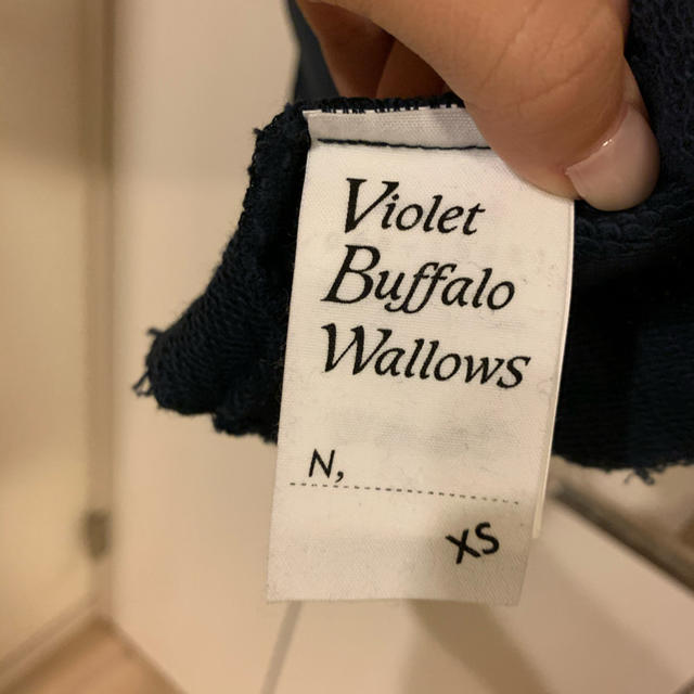 DRESSTERIOR(ドレステリア)のviolet buffalo wallows カットソー DRESSTERIOR レディースのトップス(カットソー(長袖/七分))の商品写真