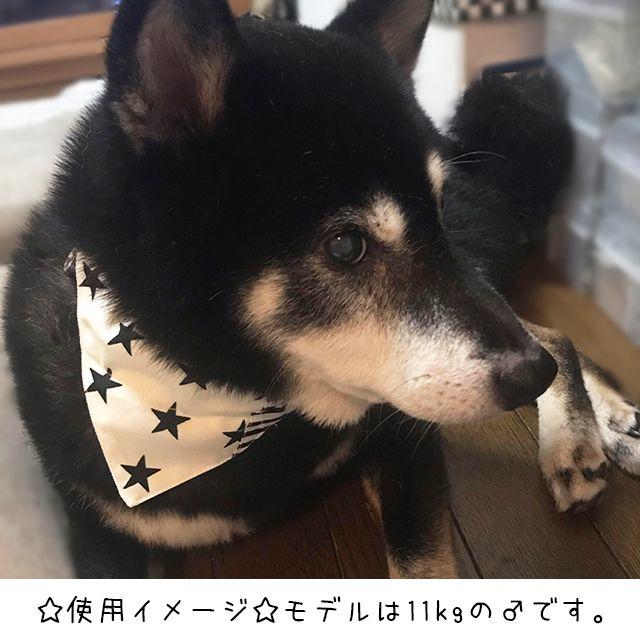 中型犬用バンダナ/唐草模様③ n-0144シリーズ その他のペット用品(犬)の商品写真