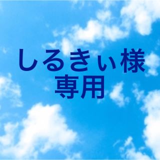 アンティカ(antiqua)のしるきぃ様専用(シャツ/ブラウス(半袖/袖なし))