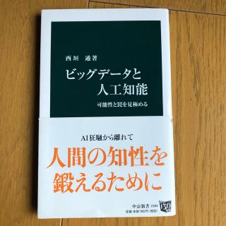 ビッグデ－タと人工知能 可能性と罠を見極める(ビジネス/経済)