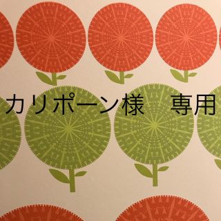 カリポーン様　専用(外出用品)