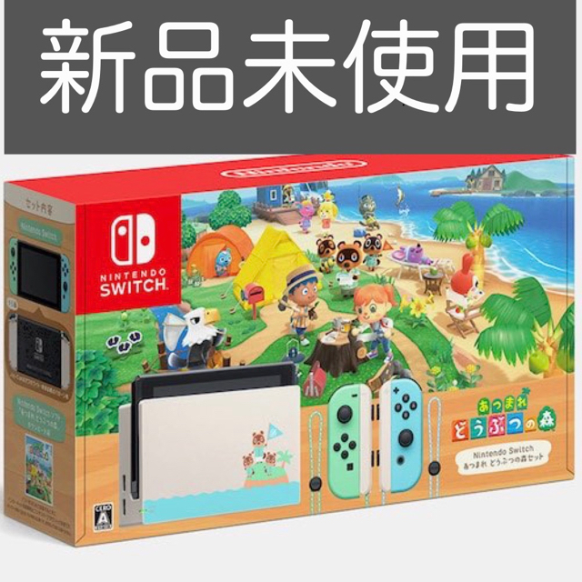 ニンテンドースイッチあつまれ どうぶつの森セット