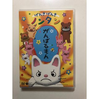 コロンビア(Columbia)のDVD ノンタン　がんばるもん(キッズ/ファミリー)