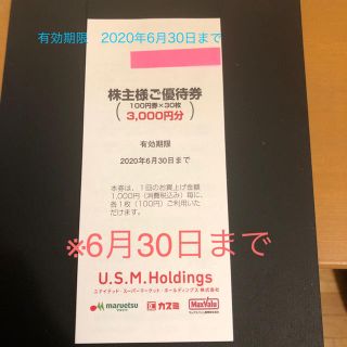 Ｕ.Ｓ.M.Holdings株主優待券　100円券×30枚　1冊(ショッピング)