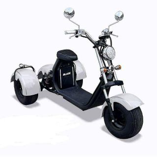 新車 BLAZE EV TRIKE メーカー正規品 公道走行可能(車体)