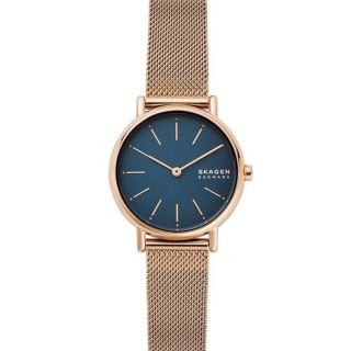 スカーゲン(SKAGEN)のSKAGEN SIGNATUR SKW2837(腕時計)