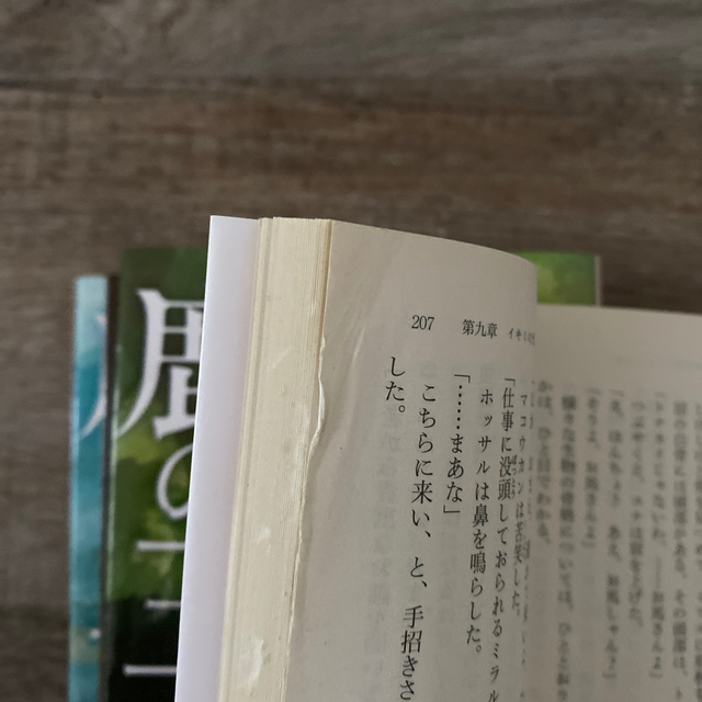 上橋菜穂子　鹿の王 １2 3 4 エンタメ/ホビーの本(文学/小説)の商品写真