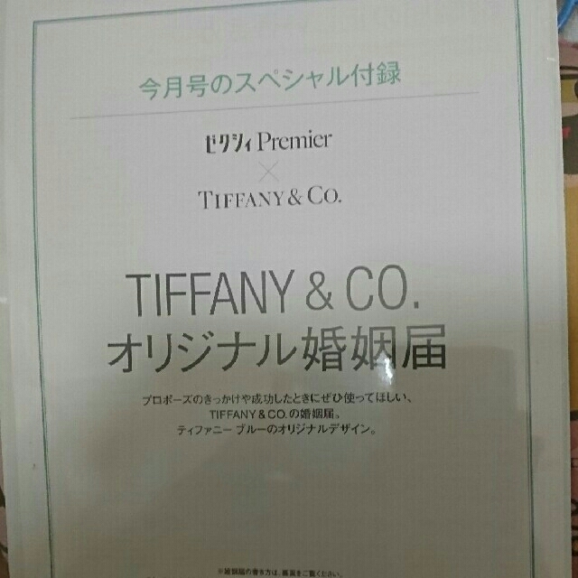 Tiffany & Co.(ティファニー)のティファニーオリジナル婚姻届指輪のパンフ付き ハンドメイドのウェディング(その他)の商品写真