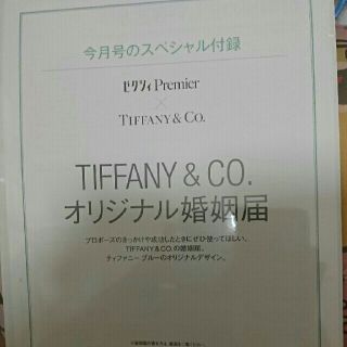 ティファニー(Tiffany & Co.)のティファニーオリジナル婚姻届指輪のパンフ付き(その他)