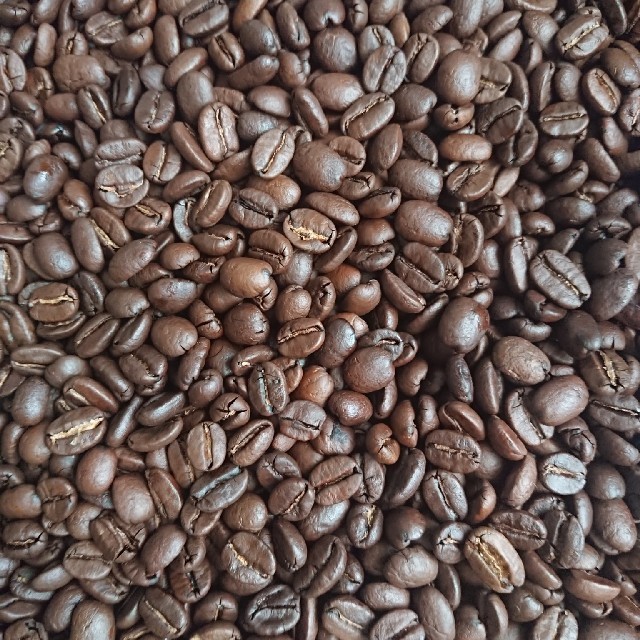 特別セール品 自家焙煎コーヒー豆 200g 注文後焙煎