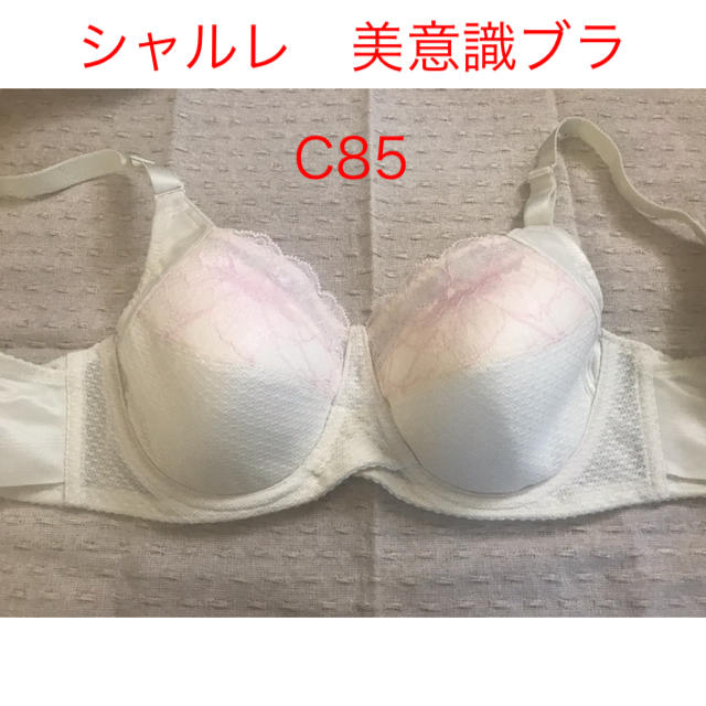 シャルレ(シャルレ)のシャルレ　美意識ブラジャー　C85 レディースの下着/アンダーウェア(ブラ)の商品写真