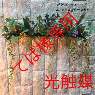 光触媒 人工観葉植物 抗菌ウォール ウォールグリーン4340(壁掛けミラー)