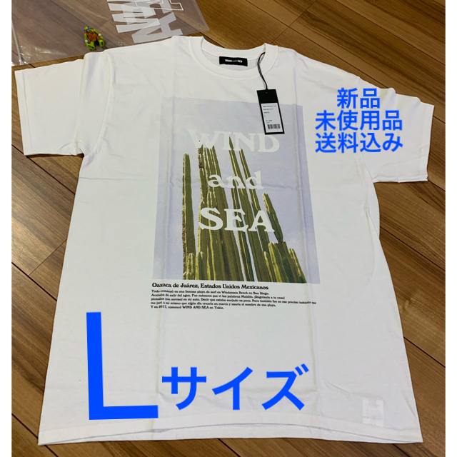 windandsea Tシャツ　Lサイズ