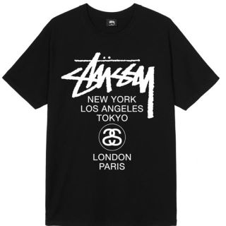 ステューシー(STUSSY)のhimicat 様　専用(Tシャツ/カットソー(半袖/袖なし))