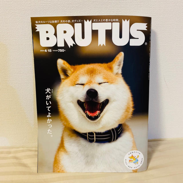 マガジンハウス(マガジンハウス)のBRUTUS (ブルータス) 2020年 4/15号 エンタメ/ホビーの雑誌(その他)の商品写真