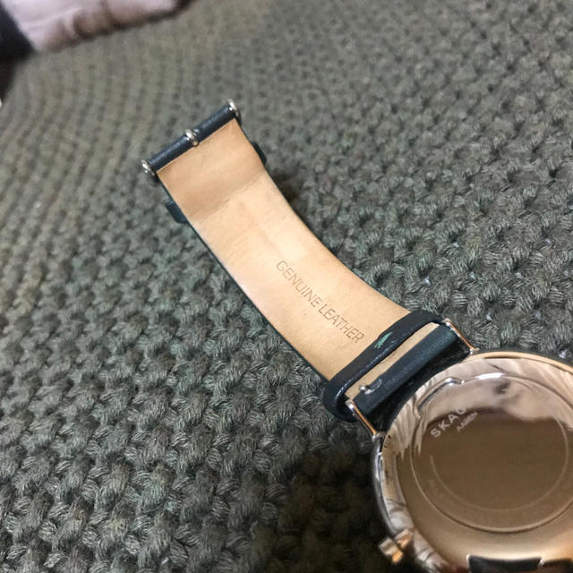 SKAGEN(スカーゲン)の【美品　箱あり】スカーゲン　腕時計　グリーン　40ミリ メンズの時計(腕時計(アナログ))の商品写真