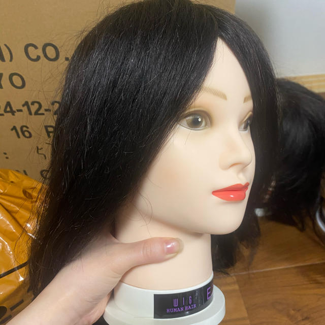 カット用練習ウィッグ!美容師 | tradexautomotive.com