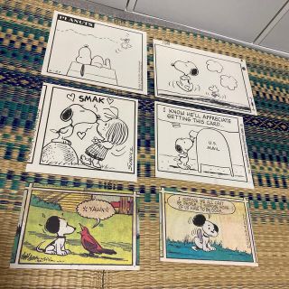 スヌーピー(SNOOPY)のスヌーピー展 ポストカード(写真/ポストカード)