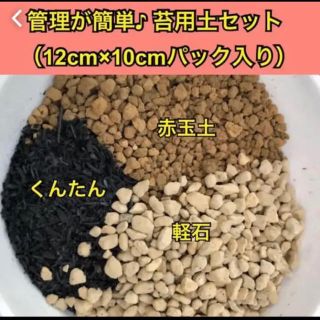 苔リウムにオススメ！管理簡単 苔用土セット(その他)