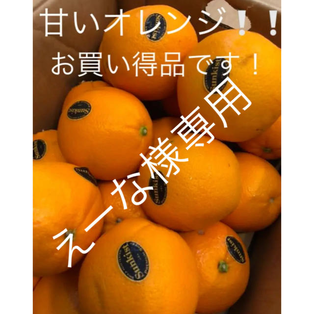 Sunkistネーブルオレンジ　約5kg 食品/飲料/酒の食品(フルーツ)の商品写真