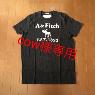 アバクロンビーアンドフィッチ(Abercrombie&Fitch)のアバクロ　メンズTシャツ④(Tシャツ/カットソー(半袖/袖なし))