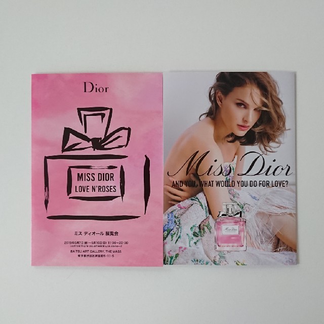 Christian Dior(クリスチャンディオール)のChristian Dior レディースのバッグ(ショップ袋)の商品写真