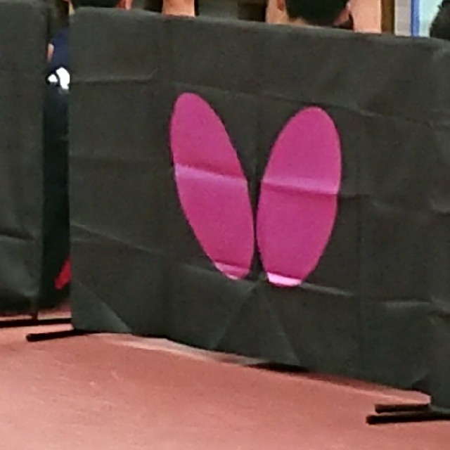 Yasaka(ヤサカ)のけんちゃん様 専用 スポーツ/アウトドアのスポーツ/アウトドア その他(卓球)の商品写真