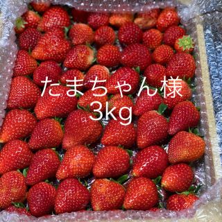 たまちゃん様専用●いちごさん3kg●クール便(フルーツ)