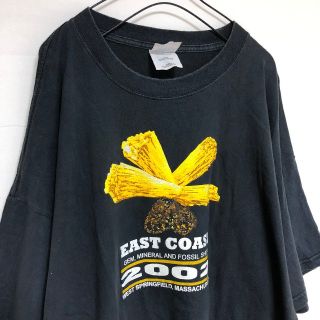 ギルタン(GILDAN)のGILDAN Tシャツ アメリカ 東海岸 石の祭典 2002 黒 ブラック(Tシャツ/カットソー(半袖/袖なし))