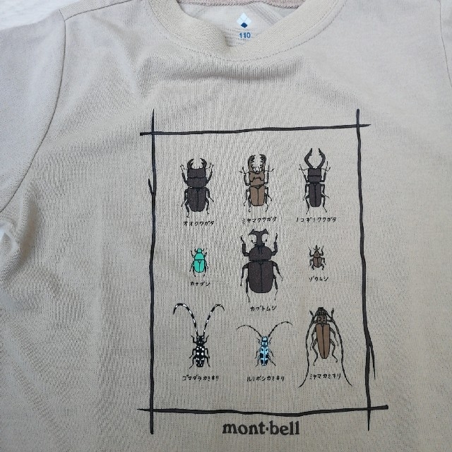 mont bell(モンベル)のモンベル　mont-bell　昆虫Tシャツ キッズ/ベビー/マタニティのキッズ服男の子用(90cm~)(Tシャツ/カットソー)の商品写真