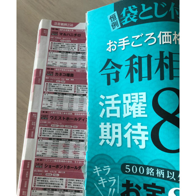 別冊 会社四季報 プロ500銘柄 2019年 07月号 エンタメ/ホビーの雑誌(ビジネス/経済/投資)の商品写真