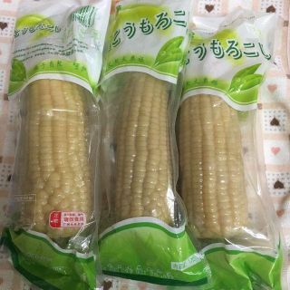 20本セット　白もちとうもろこし(野菜)