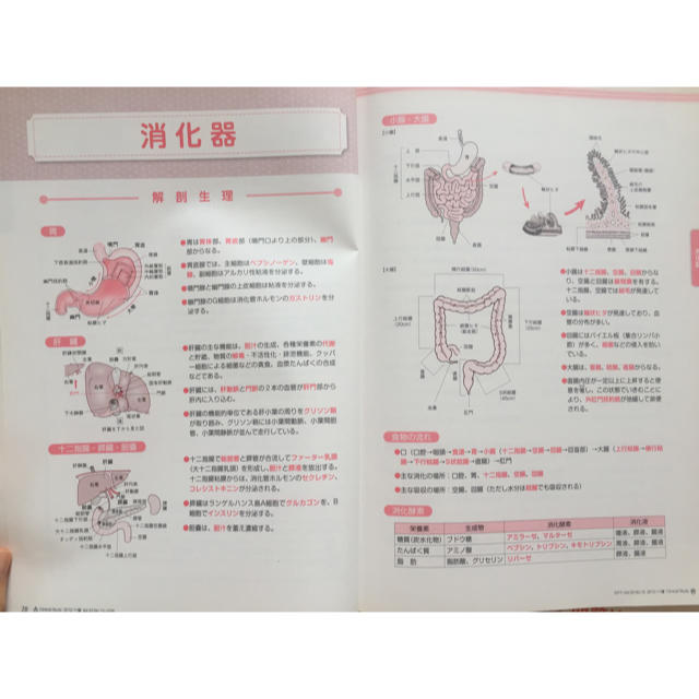 日本看護協会出版会(ニホンカンゴキョウカイシュッパンカイ)のclinical stud 医学書 看護 国家試験 エンタメ/ホビーの本(健康/医学)の商品写真