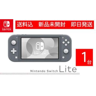 Nintendo Switch Lite 本体 グレー １台