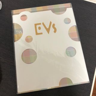 ポケモン(ポケモン)のEVs(その他)