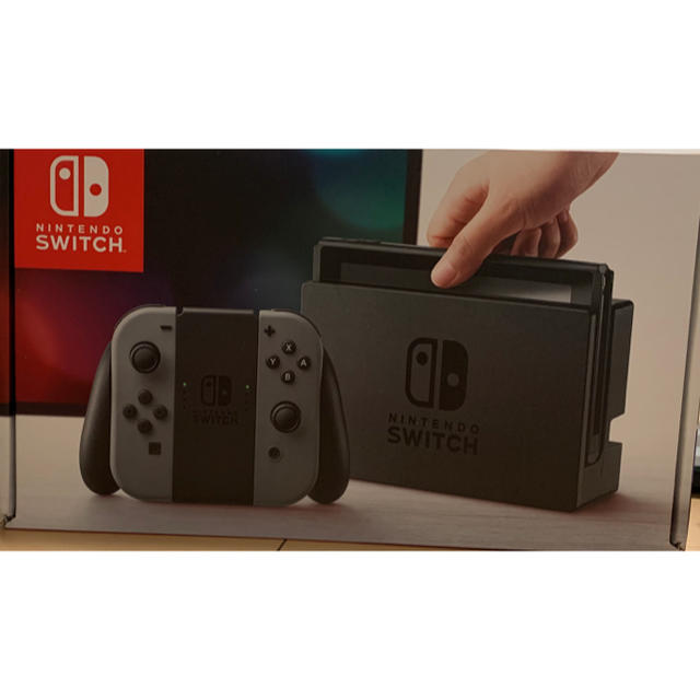 Nintendo Switch JOY-CON グレー 本体  HAC-S-KA