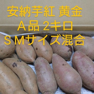 安納芋紅 黄金S～Mサイズ 2キロ(野菜)